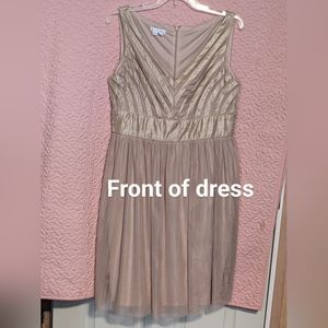 Gorgeous Champagne & Tan Mesh Dress